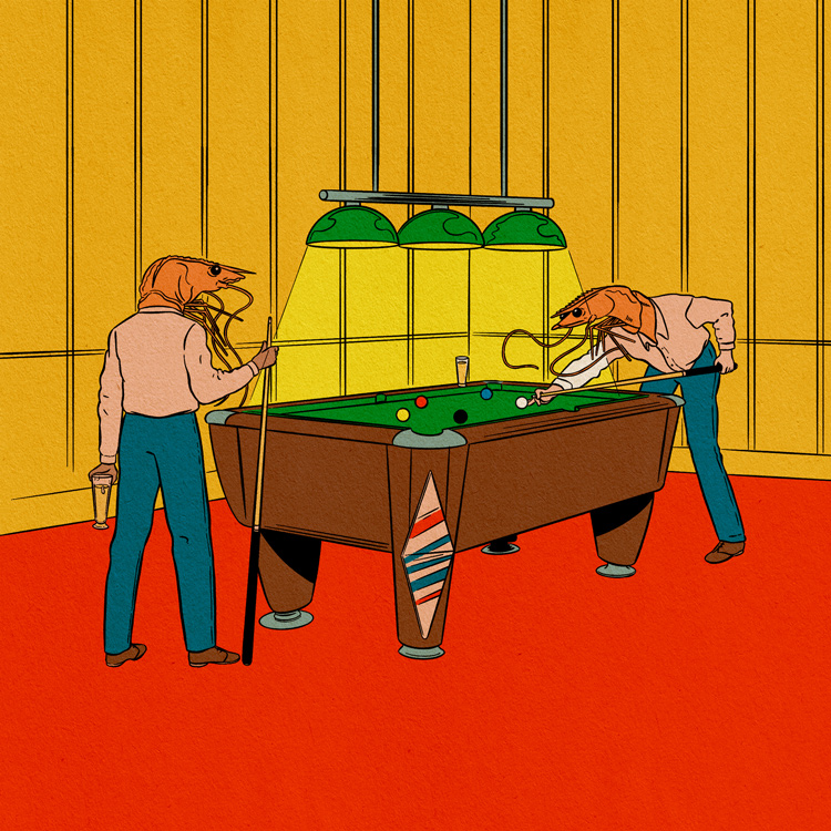 two crayfishes playing billiard