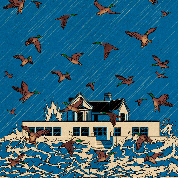 flying ducks over stormy sea 