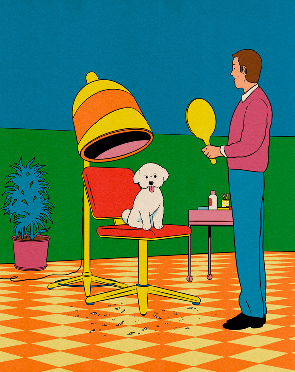 white poodle sitting on a hairdressing chair with hairdresser showing a mirror 