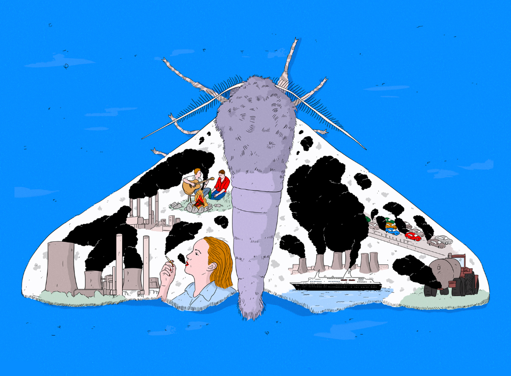 moth with small drawings of power plants on wings