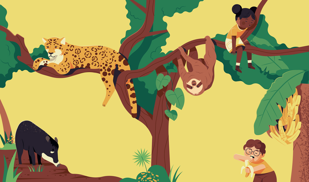 double page of the children's book about the rainforest