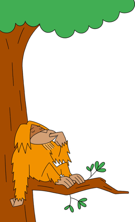 illustration of an orang utan sitting on a branch 