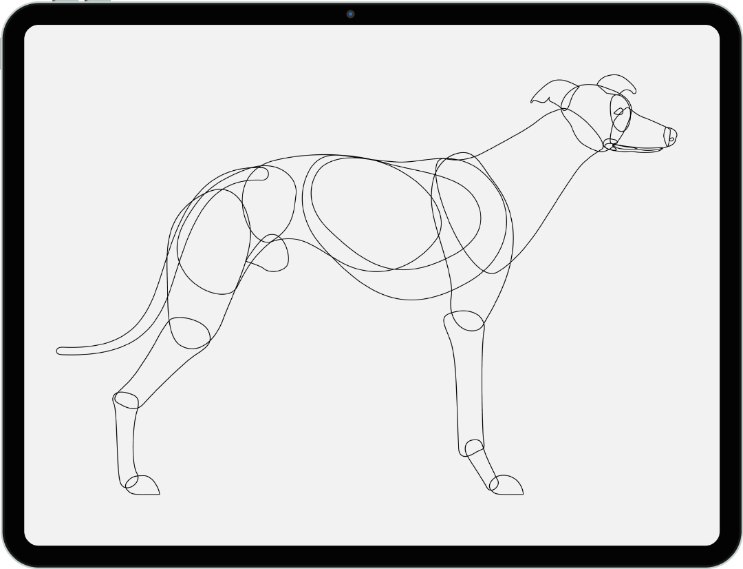 Dog on iPad Screen