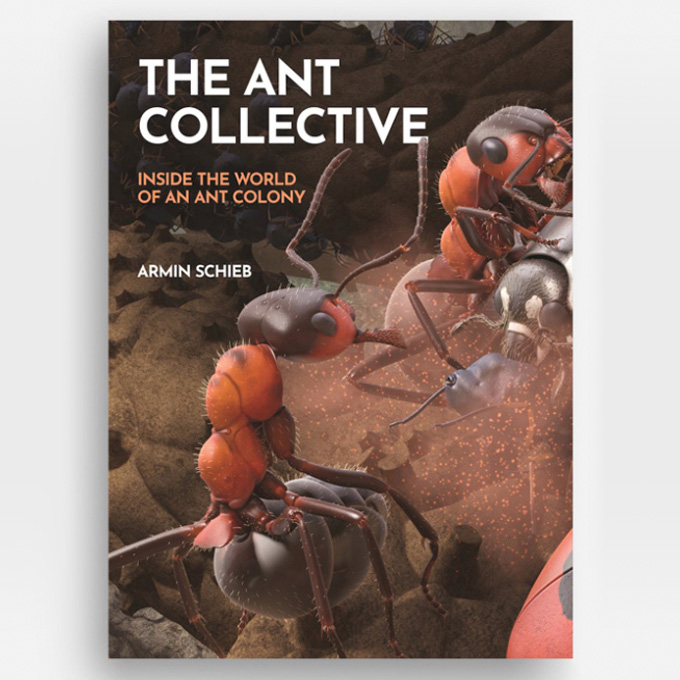 ant tunnels underground and book cover with huge ants fighting against a beetle