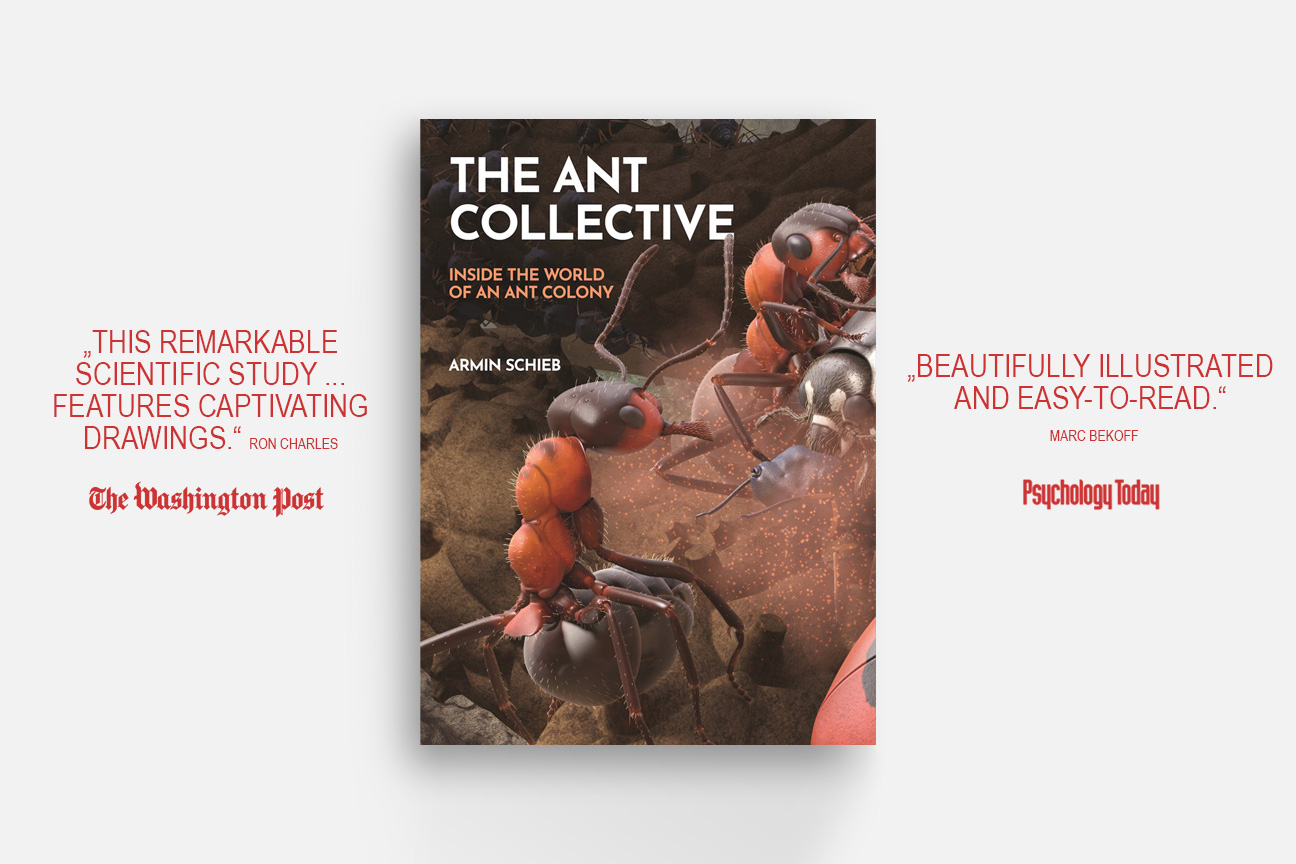 ant tunnels underground and book cover with huge ants fighting against a beetle