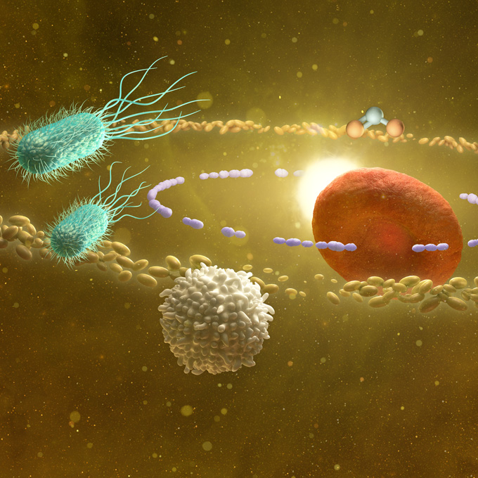 infographic about the diagnostics of urine as a realistic 3d universe 