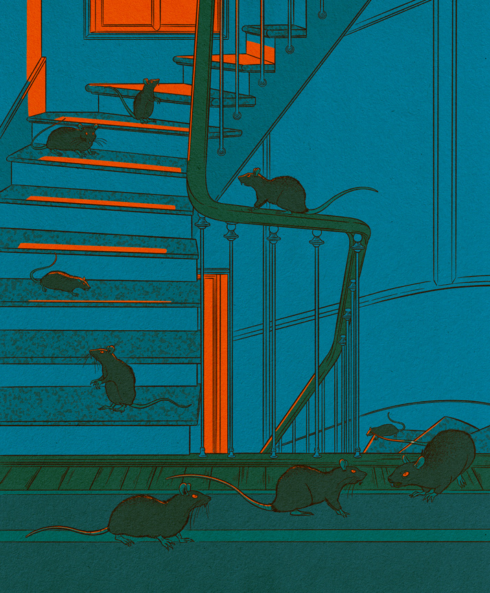 rats in a dark stairway 