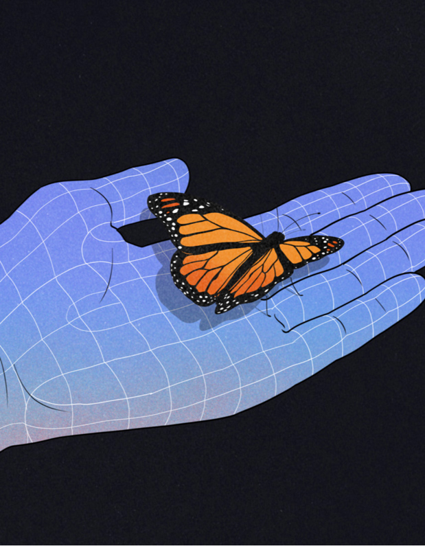 3d grid of hand holding butterfly 