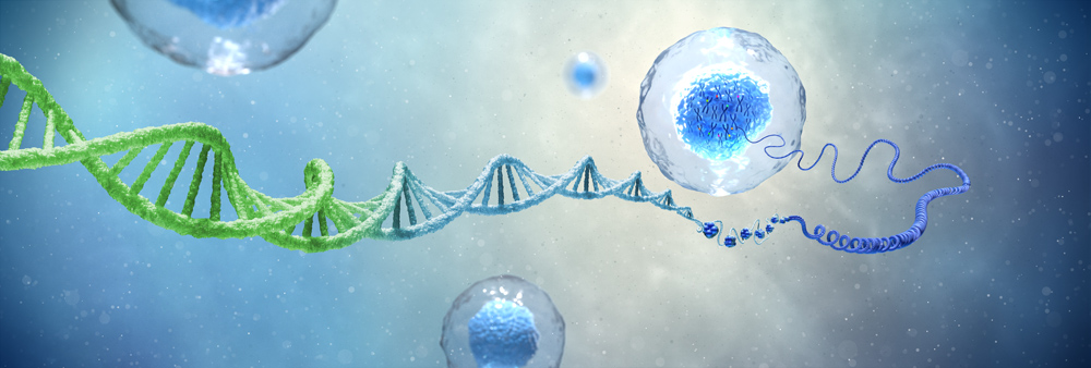 double helix